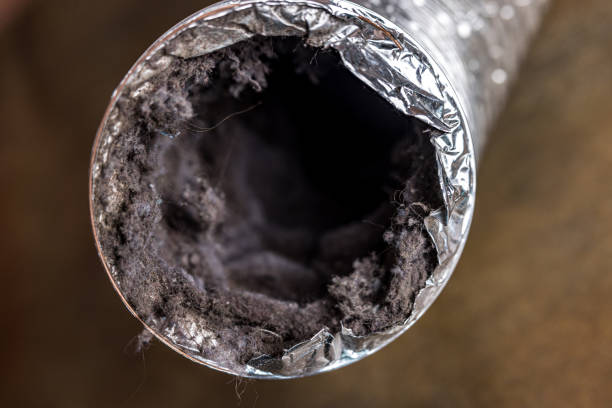 Professional Airduct Cleaning in Chester, SC